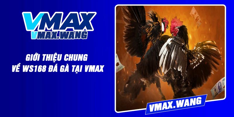 Giới thiệu chung về WS168 Đá Gà tại Vmax