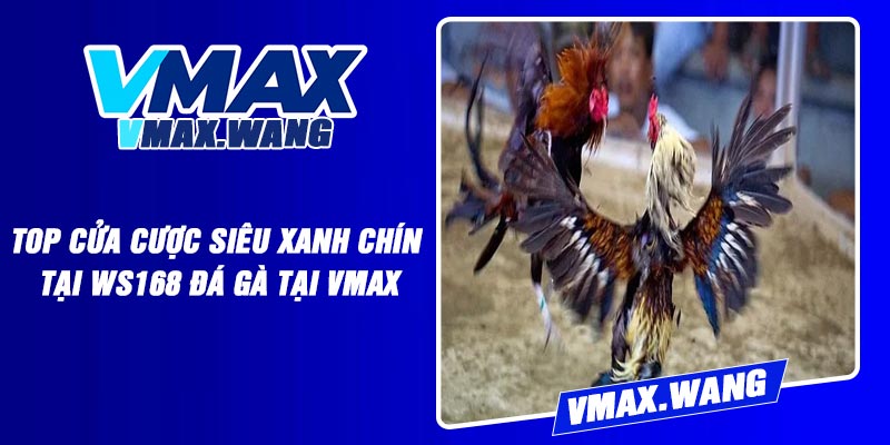 Top cửa cược siêu xanh chín tại WS168 Đá Gà tại Vmax