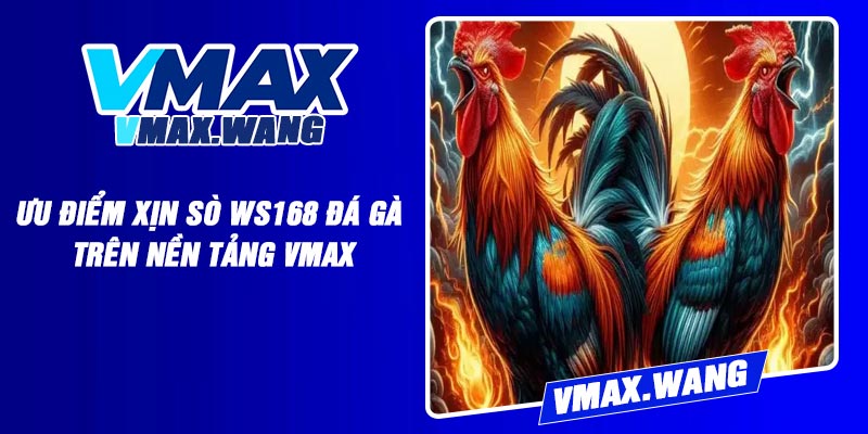Ưu điểm xịn sò WS168 Đá Gà trên nền tảng Vmax