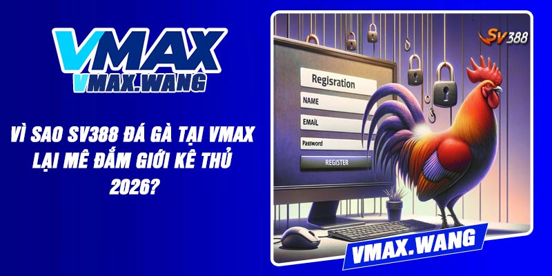 Vì sao SV388 Đá Gà tại Vmax lại mê đắm giới kê thủ 2026?