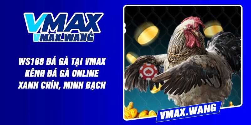 WS168 Đá Gà tại Vmax - Kênh Đá Gà Online Xanh Chín, Minh Bạch